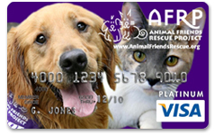 Animal Friends Visa Card
